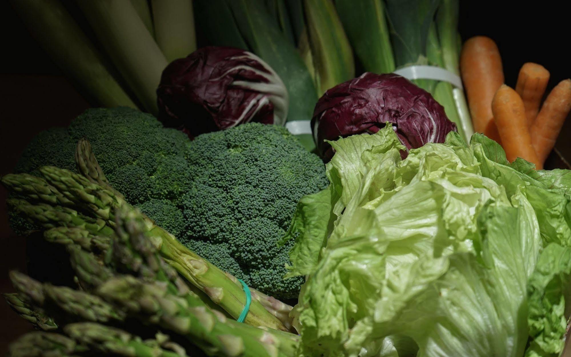 Landa Hotel Burgo Kültér fotó Vegetables